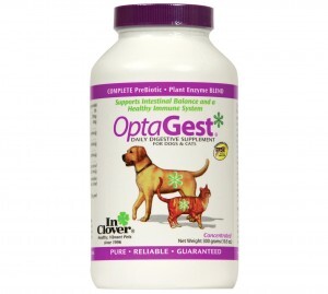 OptaGest Digestive Aid Dog