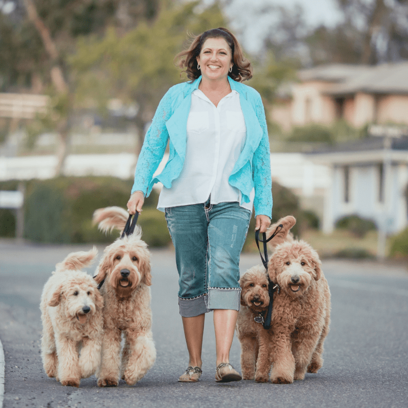 Alyson Rodges with trained labradoodles for sale