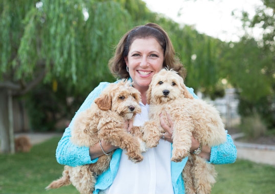 Alyson Rodges with trained labradoodles for sale